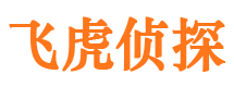 朗县市私家侦探